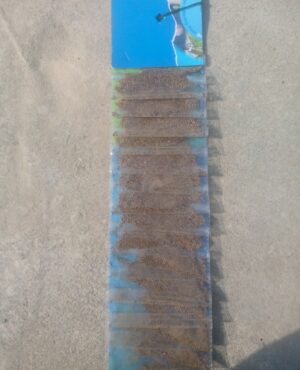 IMG_20251123_123427_216 Pisi kali mirch|20Rs(15pices)