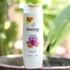images (26) Pantene Hair Fall Control Shampoo